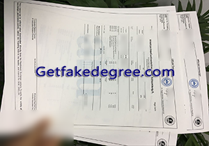 buy fake American InterContinental University transcript