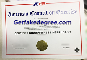 buy fake ACE certificate