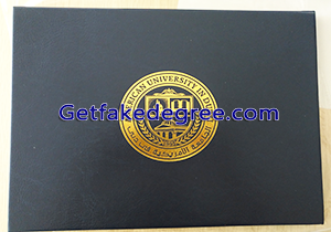 American University in Dubai diploma Cover, fake AUD degree folder