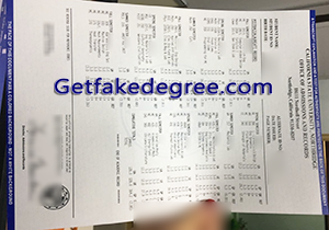 buy fake California State University Northridge transcript