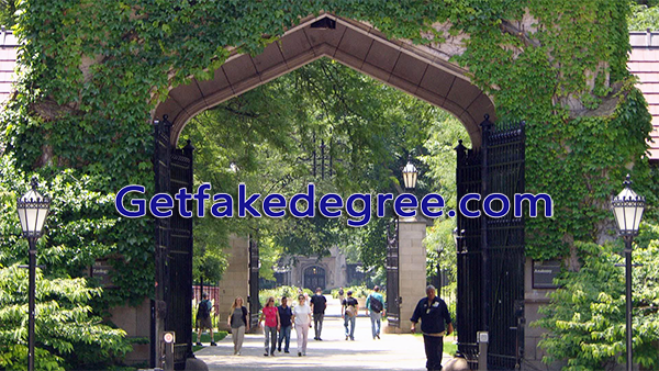 Buy fake diploma from real university