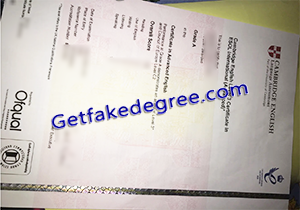 buy fake Cambridge Advanced certificate