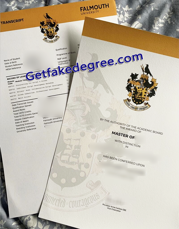 Falmouth University fake degree, Falmouth University fake transcript