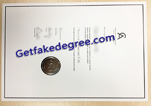 buy fake Chartered Accountant certificate