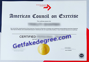 buy fake ACE certificate
