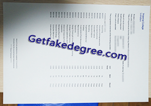 buy fake Imperial College London transcript