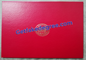Custom fake MIT diploma cover from real university
