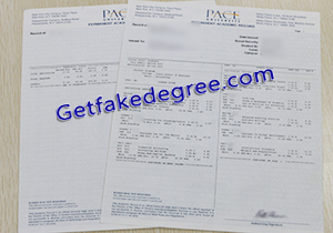 buy fake Pace University transcript