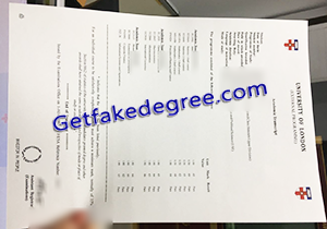 buy fake University of London transcript