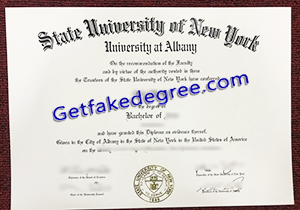 buy fake State University of New York at Albany degree