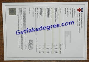 buy fake University of London diploma supplement