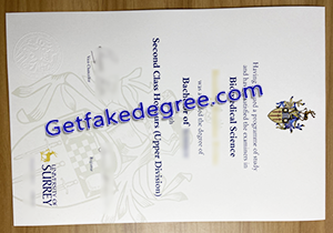 buy fake University of Surrey diploma