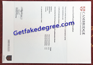 buy Cambridge GCE fake certificate