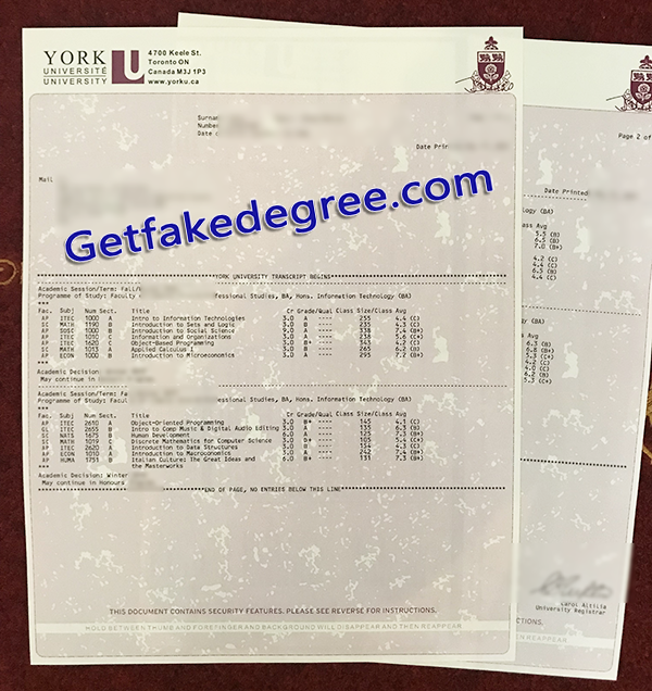 York University transcript, fake York University certificate