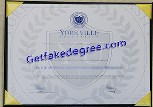buy fake Yorkville University degree