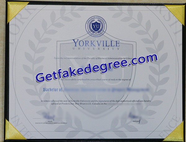 Yorkville University degree, Yorkville University fake diploma