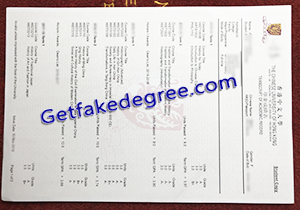 buy fake Chinese University of Hong Kong transcript