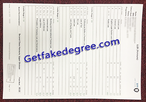 buy BPP University fake transcript