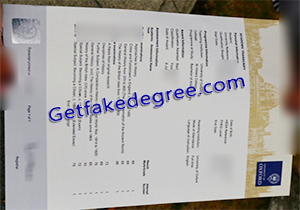 buy fake University of Oxford transcript