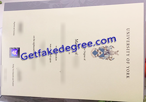 buy fake University of York degree