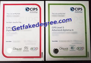 buy fake CIPS diploma