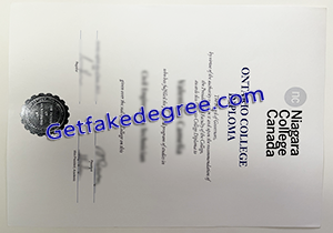 buy Niagara College fake diploma