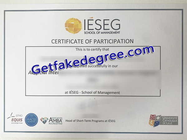 IÉSEG School of Management degree, IÉSEG diploma