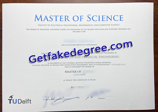 TU Delft diploma, Delft University of Technology degree