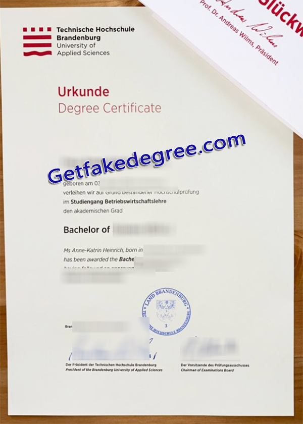 BTU diploma, Brandenburgische Technische Universität degree