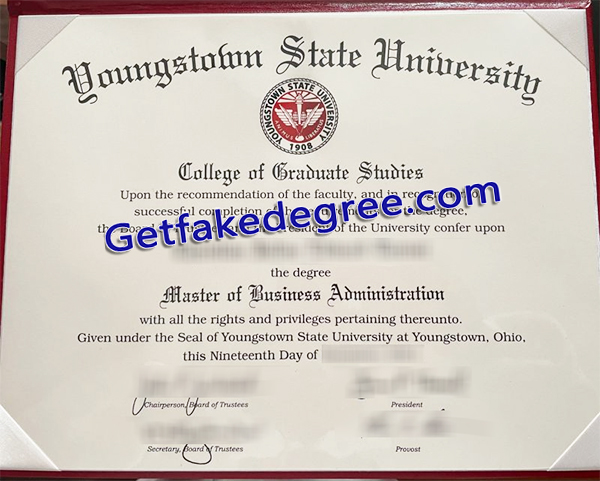 Youngstown State University degree