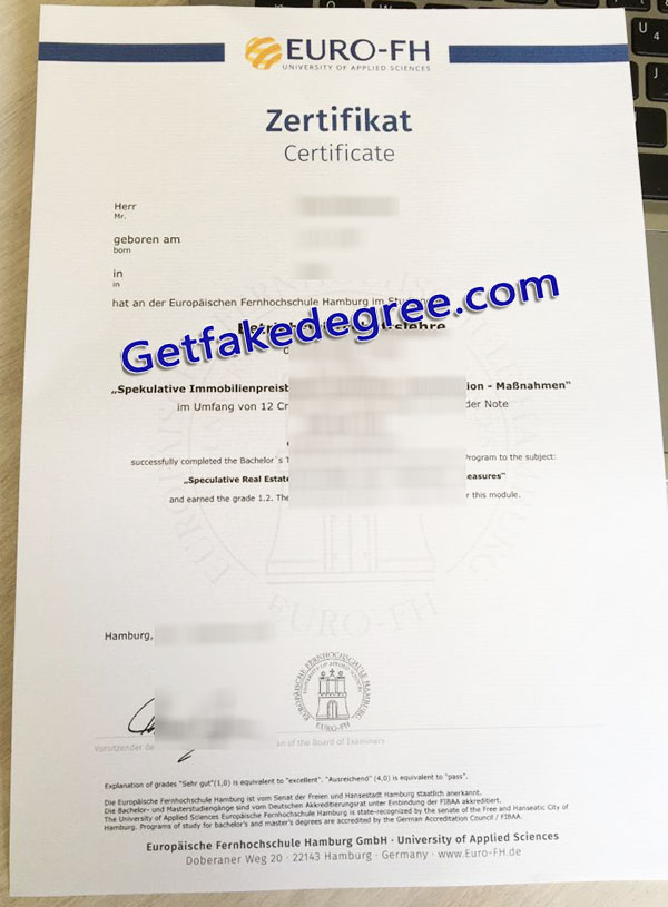 Euro-FH diploma, Europäische Fernhochschule Hamburg degree