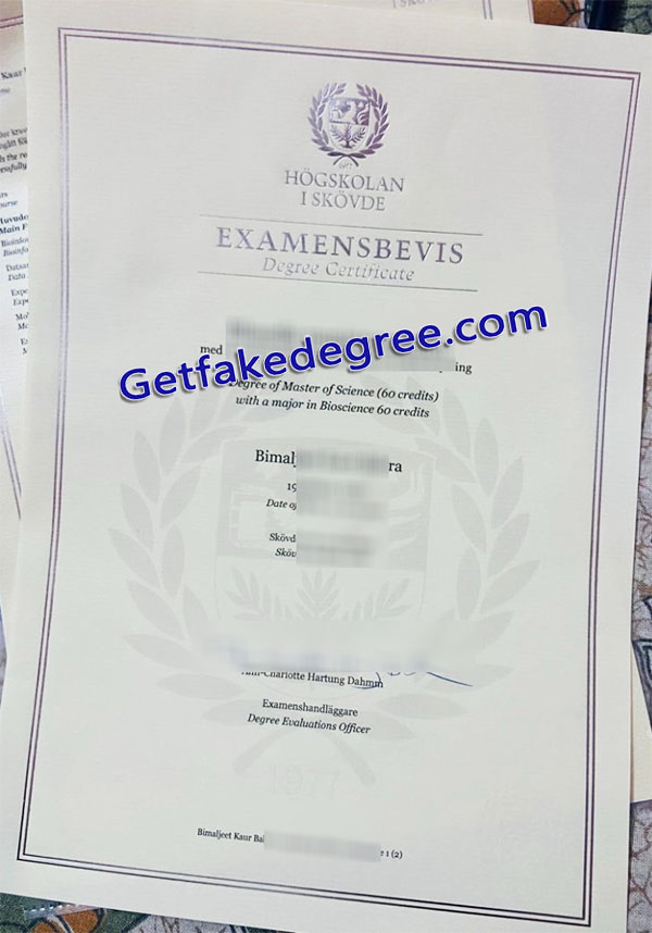 Högskolan i Skövde diploma, University of Skövde degree