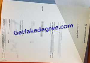 buy fake Maastricht University degree