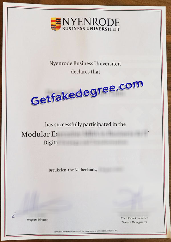 Nyenrode Business University degree, Nyenrode Business Universiteit diploma