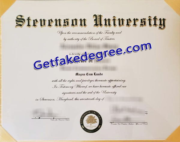 Stevenson University degree, Stevenson University certificate