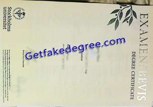 Stockholms Universitet degree