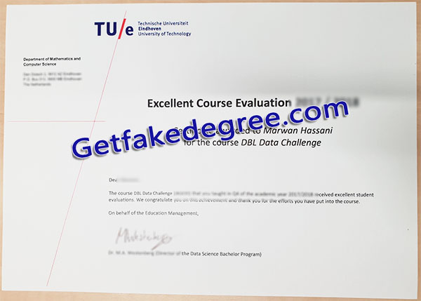 Technische Universiteit Eindhoven diploma