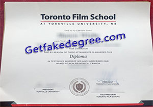 Toronto Film School degree