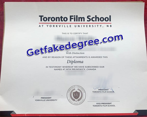 Toronto Film School diploma