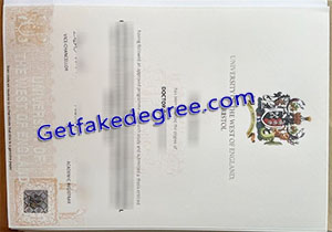 University of Bristol degree