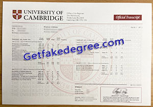 University of Cambridge transcript degree