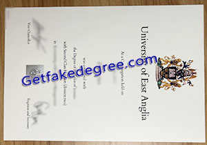 University of East Anglia degree
