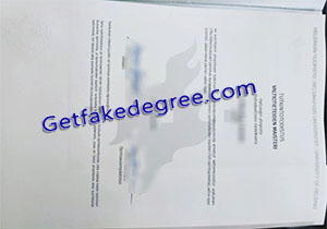 University of Helsinki degree