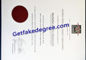 Algoma University degree