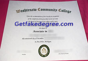 Washtenaw Community College degree
