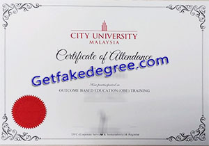 City University Malaysia degree