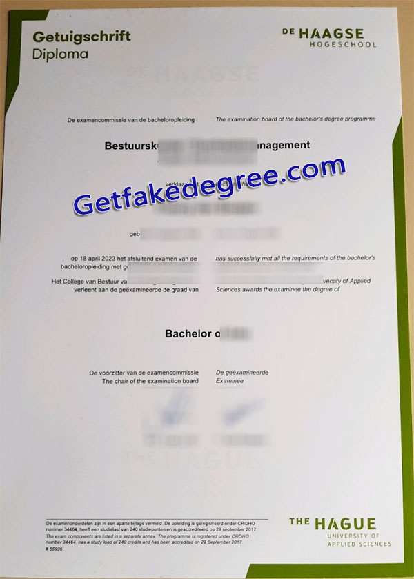 De Haagse Hogeschool diploma