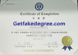 Yonsei University degree