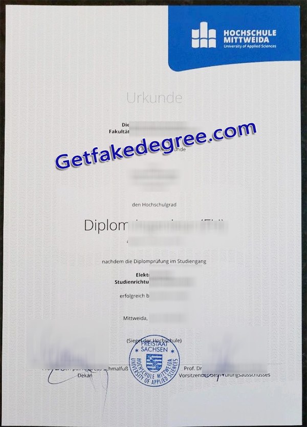 Hochschule Mittweida diploma
