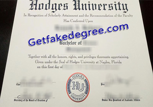 Hodges University degree
